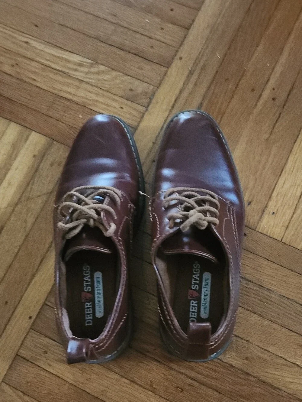 Deer Stags Brown Leather Lace-Up Oxfords